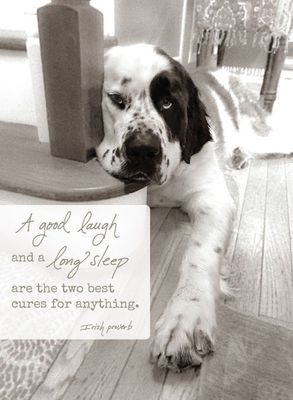 A Good Laugh and a Long Sleep - Blank