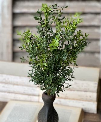 New England Realistic Boxwood Bush 19”