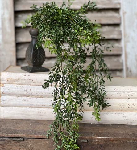New England Realistic Boxwood Hanging 32.5”