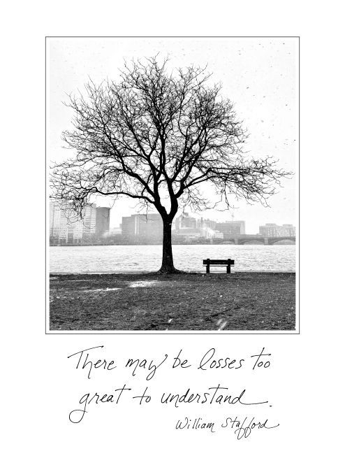 Losses Too Great to Understand - Sympathy