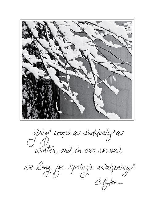 Grief Comes as Suddenly as Winter - Sympathy