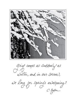 Grief Comes as Suddenly as Winter - Sympathy