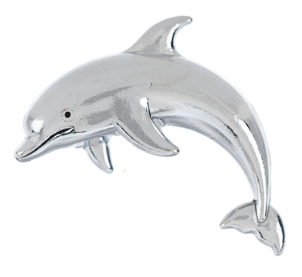 Lucky Little Dolphin Charm