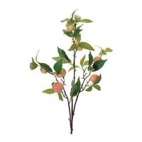 Peach Branch 34.5”H