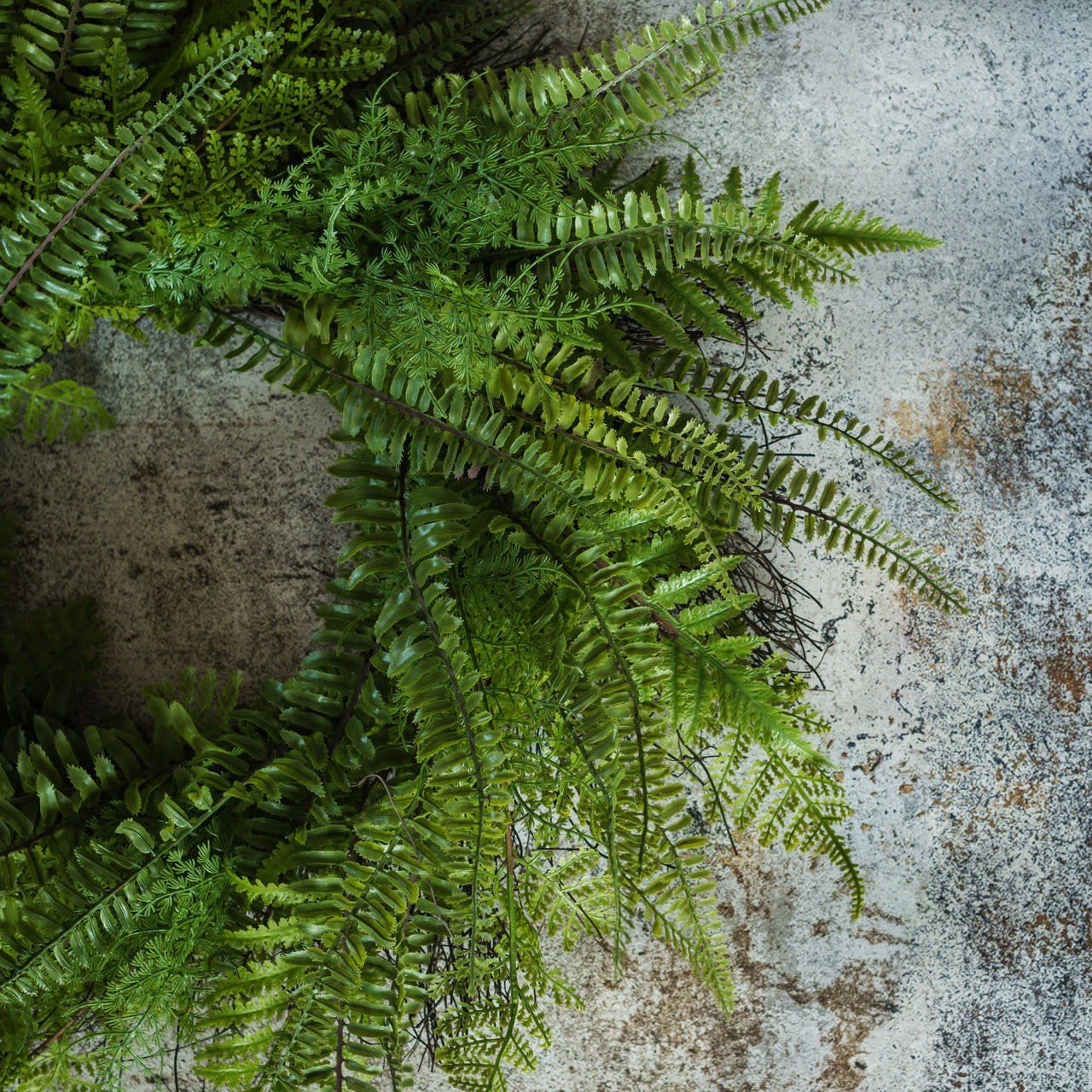 Lacey Fern Wreath 26”