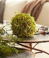 Moss Orb 7”
