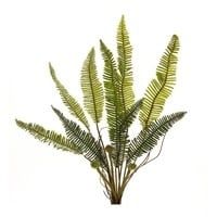 Fern Plant 17.5”