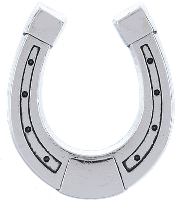 Lucky Little Horseshoe Charm