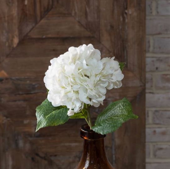 White Hydrangea Stem