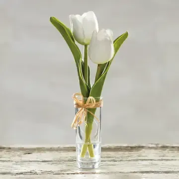 Cream Mini Tulip Vase