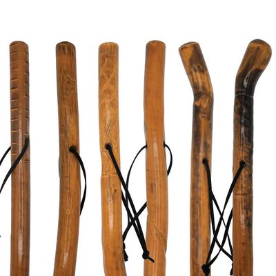 Walking Stick 48" Assorted