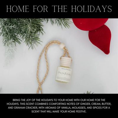 Holiday Car Diffuser Air Freshner