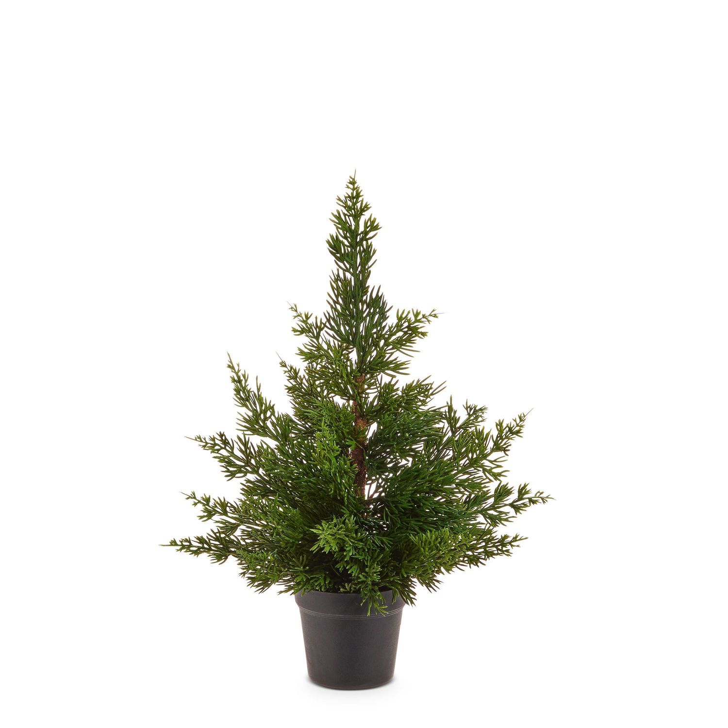 Potted Cedar Tree 17"