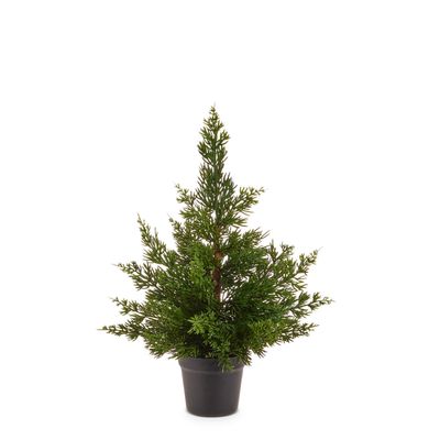 Potted Cedar Tree 17"