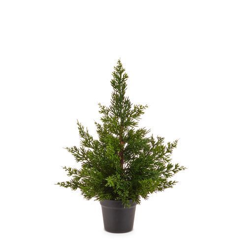 Potted Cedar Tree 22"