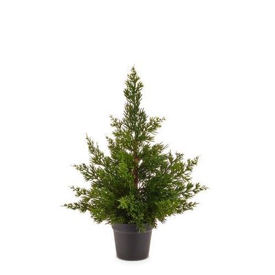 Potted Cedar Tree 22"