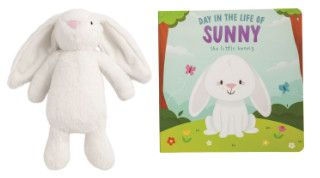 Day in the Life of Sunny Book &amp; Bunny