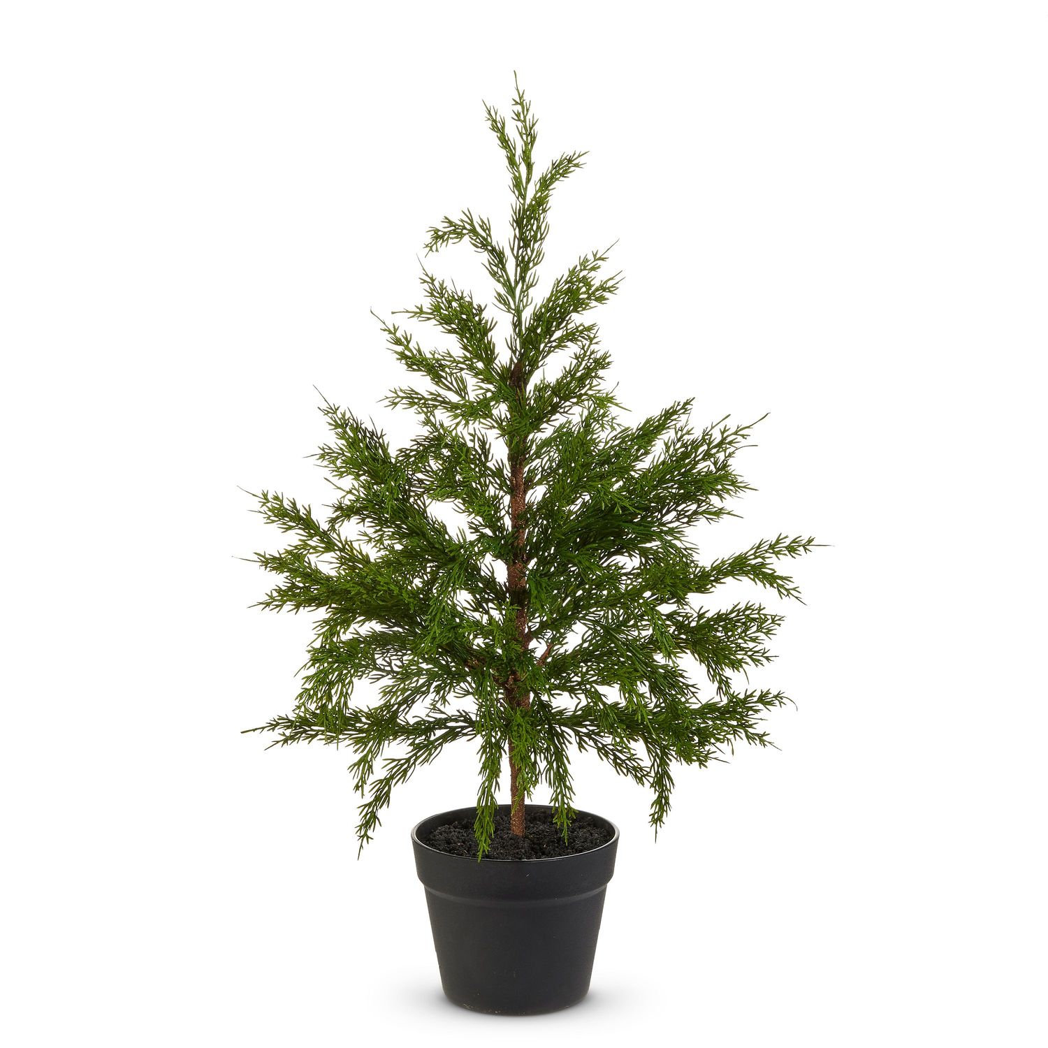Potted Cedar Tree 27"
