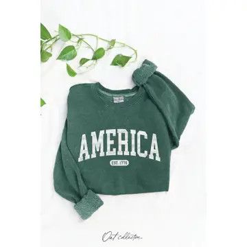 America Est 1776 Graphic Sweatshirt Dusty Forest, Size: LG