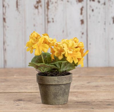 7" Yellow Potted Geranium