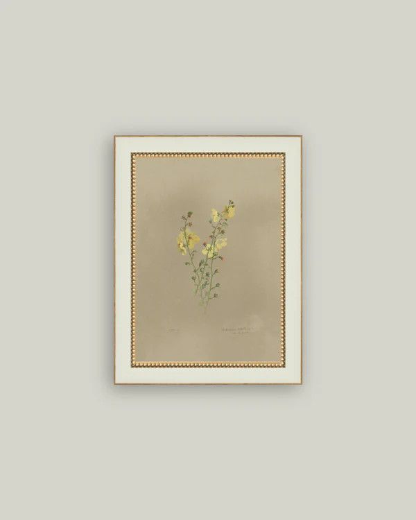 Flowering Yellow Plant Vintage Framed Antique Style Wall Art Sign