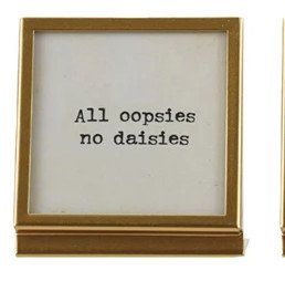 Metal &amp; Glass Frame w/Easel All Oopsies