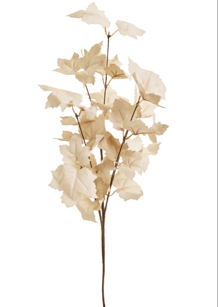 Branch Maple Leaf Beige