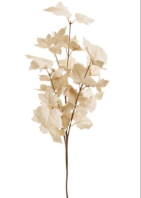 Branch Maple Leaf Beige