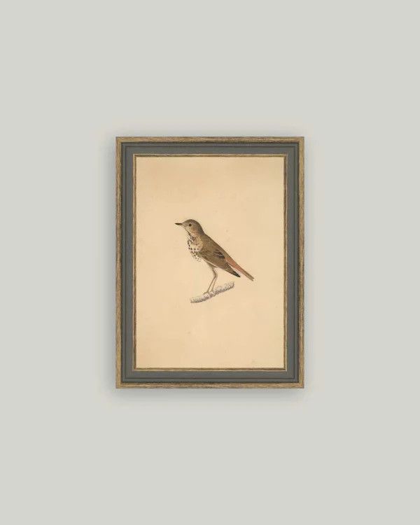 A Bird Vintage Framed Antique Style Wall Art Sign