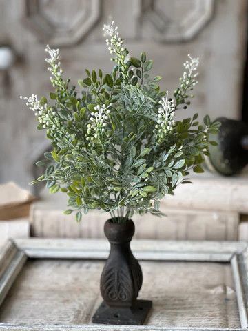 Cloister Berry Bush 17”