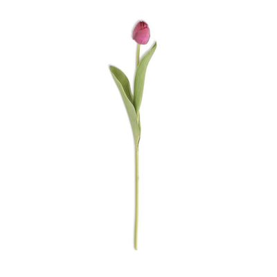 Fuchsia Single Tulip Stem