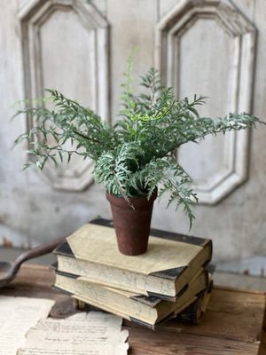 Foundry Potted Fern Cutleaf 14”