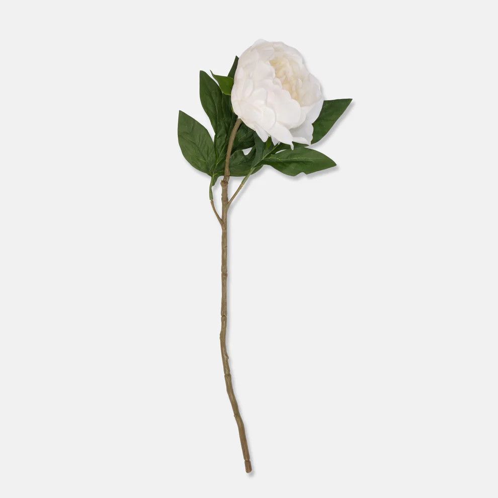 White Peony Real Touch