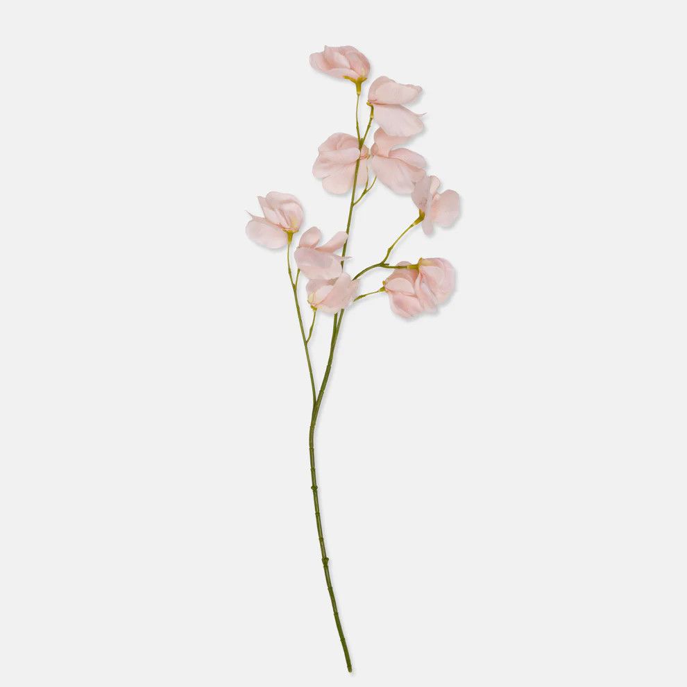 Sweet Pea Real Touch