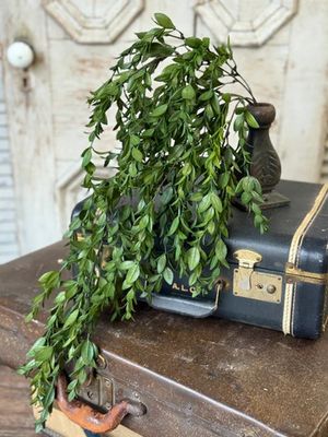 Nottswood Leaves Hanging 28”