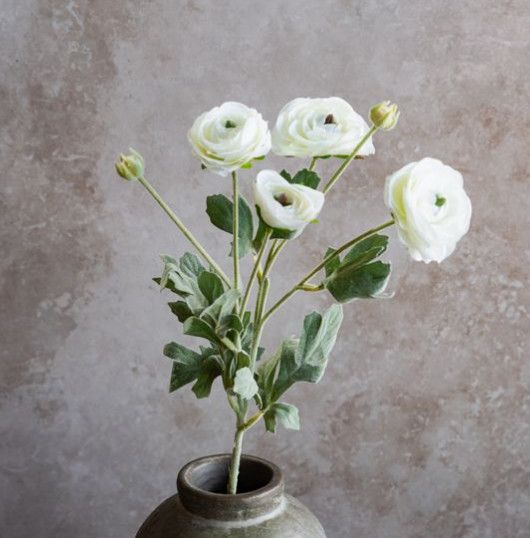 White Ranunculus 24”