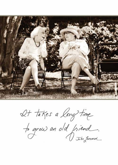 It takes a long time to grow an old friend. - Birthday Card