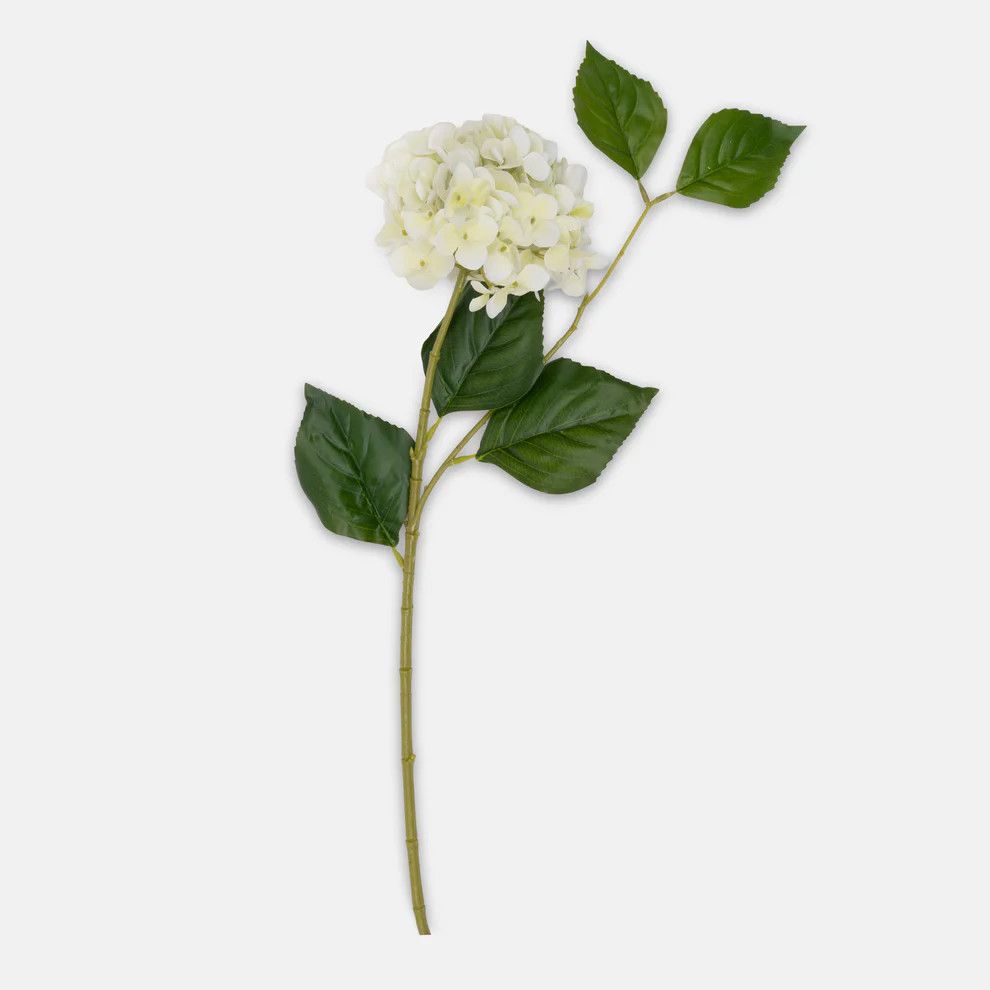 Hydrangea Zest Real Touch