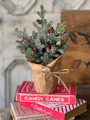 Merry Market Pot No. 2 12”