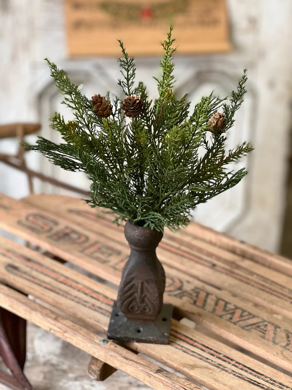 Telluride Spruce Bush 14”