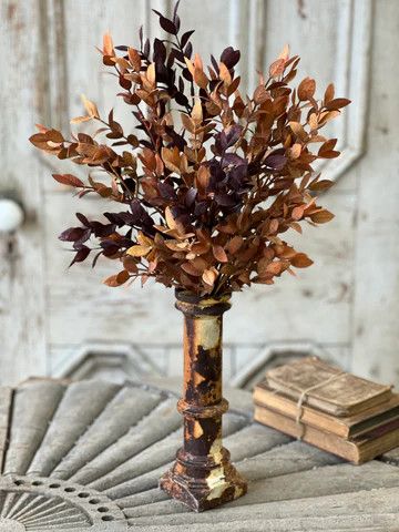 Ombre Woods Bush 18”