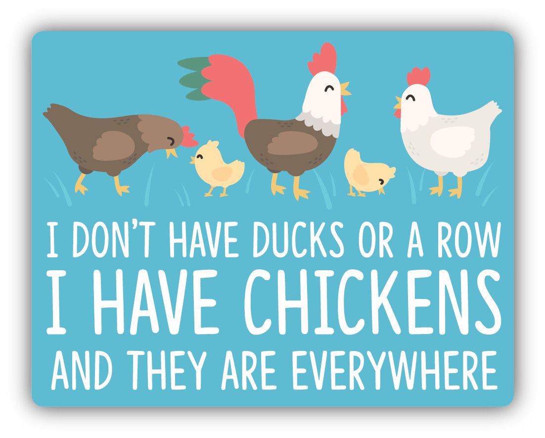 "I Don't Have Ducks in a Row, I Have Chickens" Sticker