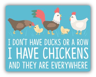 "I Don't Have Ducks in a Row, I Have Chickens" Sticker