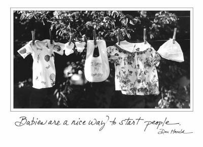 Babies are a nice way to start people. - New Baby Card