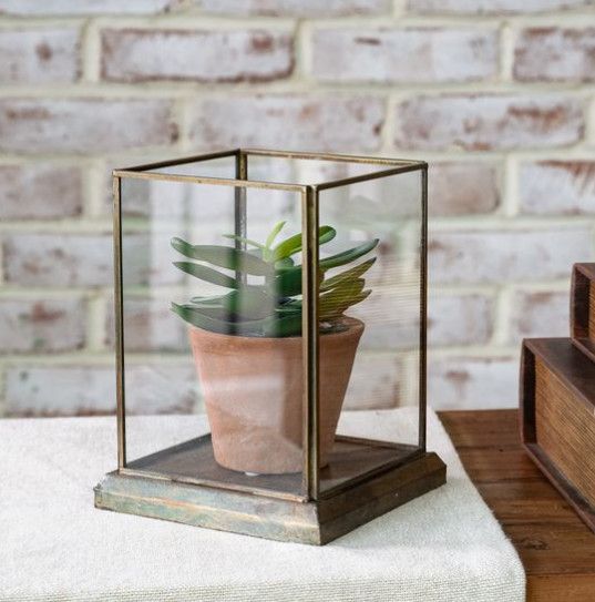 Aged Antique Glass Display Case