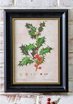 Framed Holiday Leaf Art Print, Style: Aquifolium