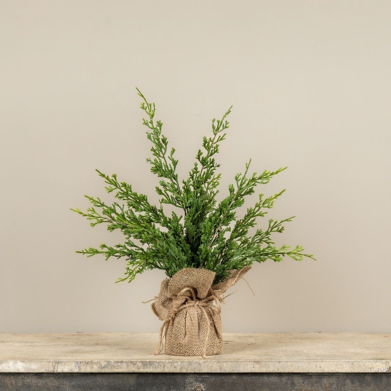 18” Cyprus &amp; Ruscus Tree With Burlap Base