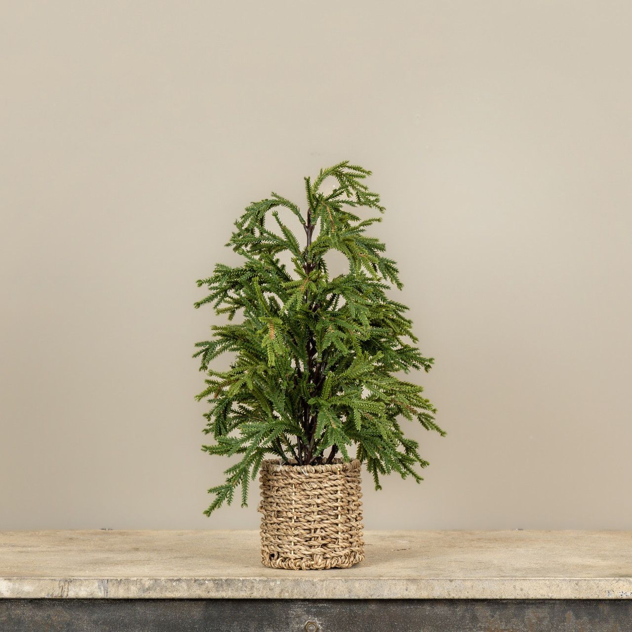 18” Pine Tree In Basket