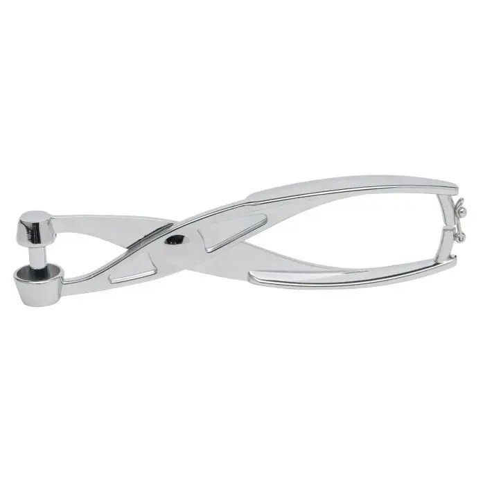 Mrs Anderson’s Baking Cherry Pitter