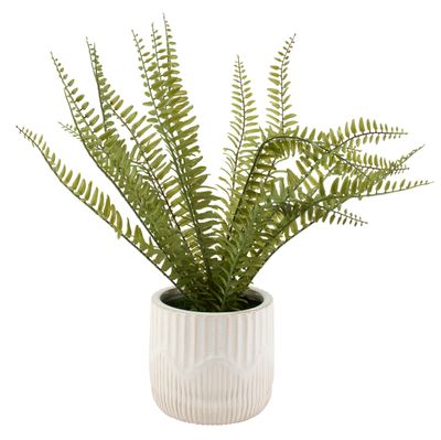 Botanical Fern Planter